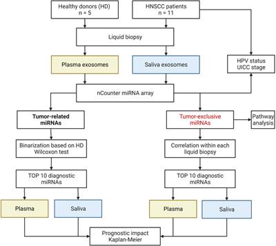 Comparison of plasma- and saliva-derived exosomal miRNA profiles reveals diagnostic potential in head and neck cancer